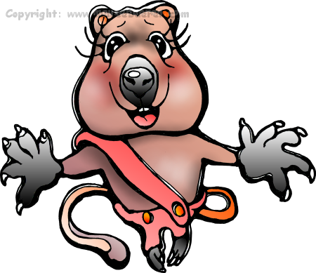 quokka-quoka-mini-kaenguru-kanguruh-beuteltier-springend-comic-mausebaeren