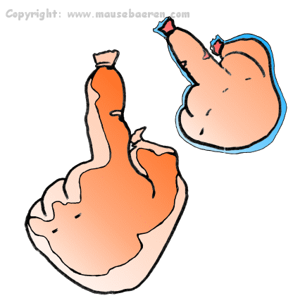 wurstfinger-illustration-comic-individuell-cartoons-zeichnungen-mausebaeren
