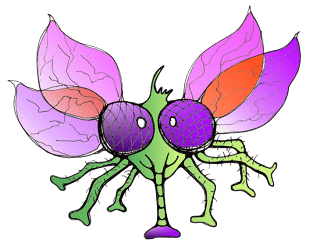 Fliege, Fliegen, Stubenfliege, Schmei&szlig;fliege, schmeissfliege, schmeissfliegen, schmei&szlig;fliegen, flies, fly, bluebottles, blowfly, blow-fly, blowfly, greenbottle fly, sheep blowfly, la abeja, la mosca, moscas, abejas, mosca azul, mosca de la carne, moscarda, moscardon by Christine Dumbsky 