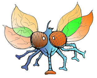 Fliege, Fliegen, Stubenfliege, Schmei&szlig;fliege, schmeissfliege, schmeissfliegen, schmei&szlig;fliegen, flies, fly, bluebottles, blowfly, blow-fly, blowfly, greenbottle fly, sheep blowfly, la abeja, la mosca, moscas, abejas, mosca azul, mosca de la carne, moscarda, moscardon by Christine Dumbsky 
